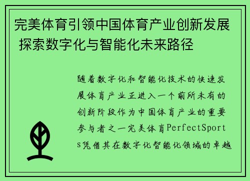 完美体育引领中国体育产业创新发展 探索数字化与智能化未来路径
