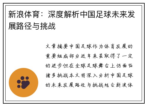 新浪体育：深度解析中国足球未来发展路径与挑战